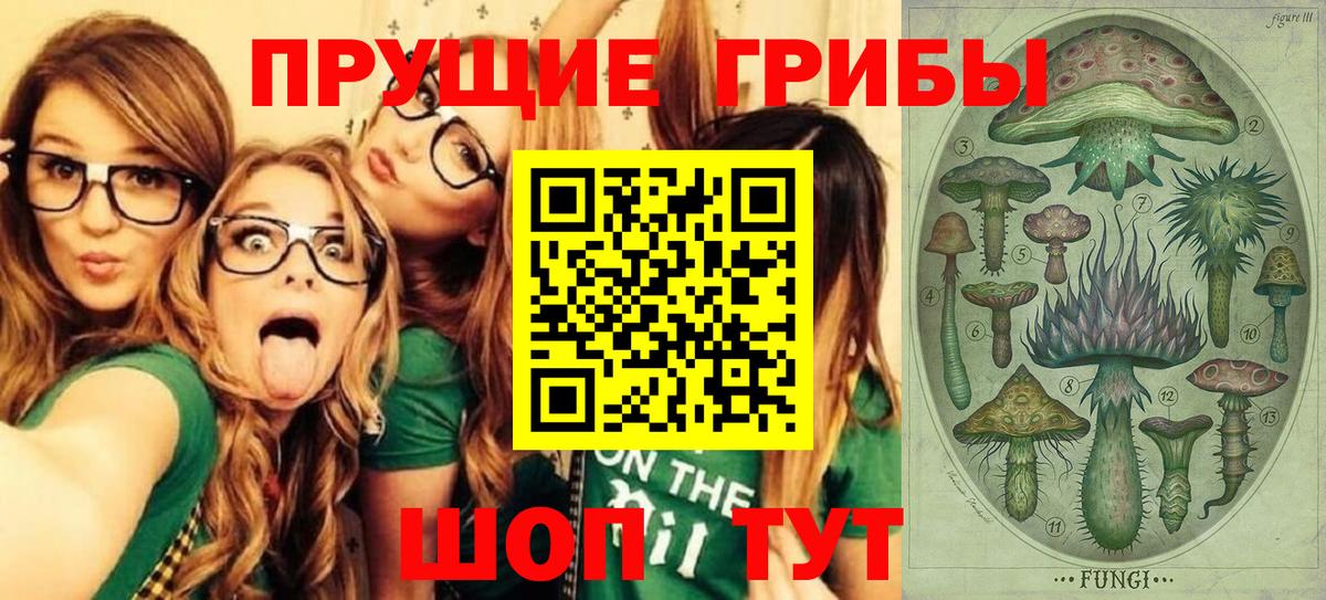 Псилоцибиновые грибы мицелий  наркотики  Екатеринбург  Вход с VPN 