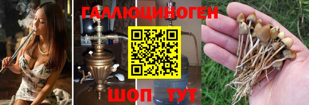 Псилоцибиновые грибы мухоморы Екатеринбург